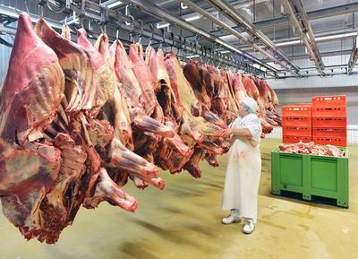 Autorizan vuelo comercial de rabinos para la faena kosher, que llegará este lunes