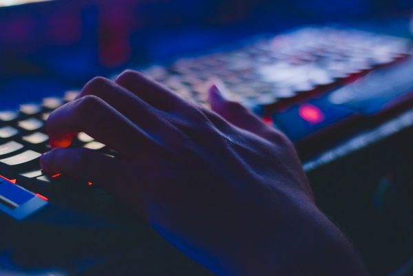 Bots en Twitter: Cómo se organizan y operan