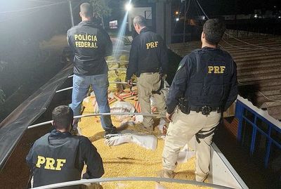 Caen en Brasil 28 toneladas de marihuana paraguaya - Judiciales y Policiales - ABC Color