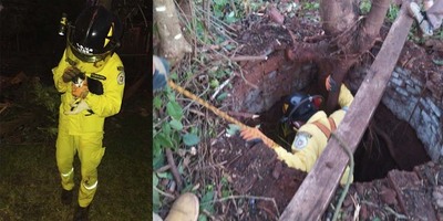 NIÑA LLAMÓ A BOMBEROS PARA QUE RESCATAR A SU GATO QUE CAYÓ UN POZO.