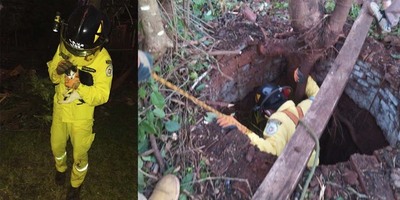 NIÑA LLAMÓ A BOMBEROS PARA QUE RESCATAR A SU GATO QUE CAYÓ UN POZO. 