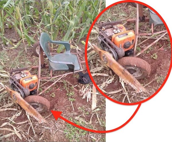 Su “invento” casi le sacó la cabeza de una | Crónica