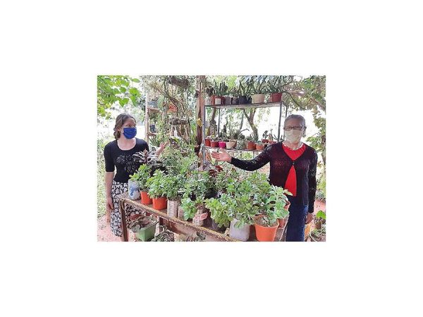 Vivero es alternativa de negocio en era Covid-19 en Misiones