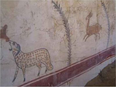 Abrir tumbas de 3.000 años y hallar tesoros, una misión en Egipto