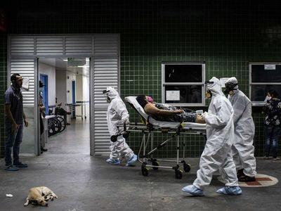La OMS ve improbable una segunda ola importante del cornavirus