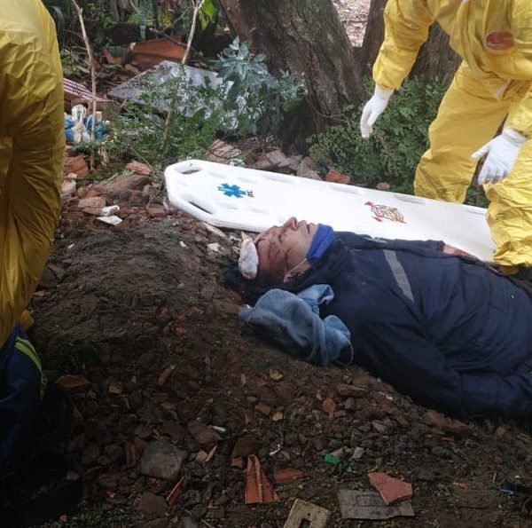 Trabajador podaba un árbol y  sufre heridas al caer al suelo – Diario TNPRESS
