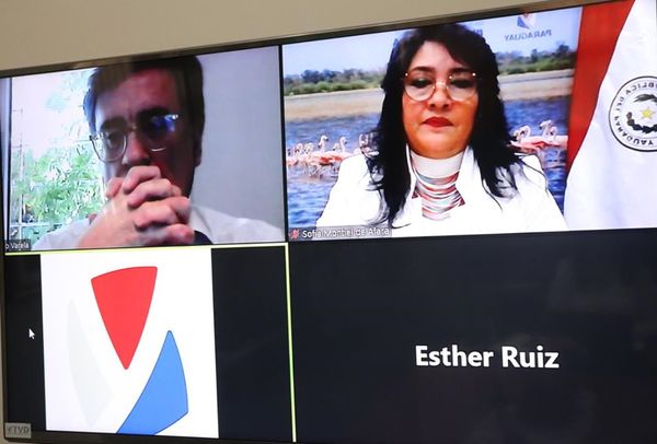Alto Paraná: Seminario en línea para la gestión del turismo en tiempos del Covid-19