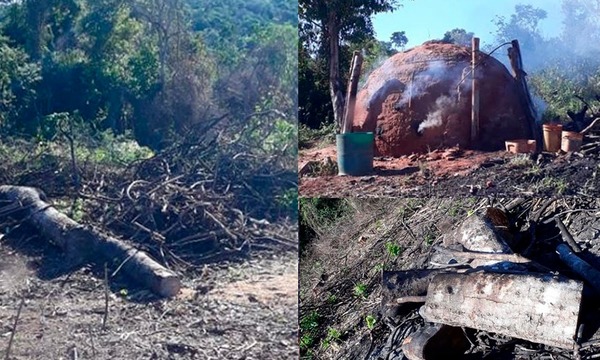 Más de 100 hectáreas fueron deforestadas en comunidad indígena de San Joaquín – Prensa 5