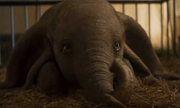 La película Dumbo fue grabada sin elefantes en el set – Prensa 5