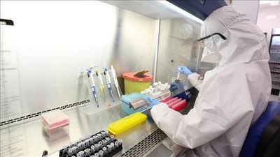 Instituto de Virología de Wuhan admitió que estudiaba cepas vivas de coronavirus, pero aseguró no inició la pandemia