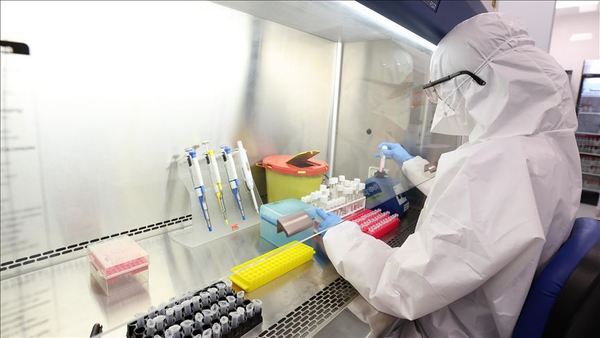 Instituto de Virología de Wuhan admitió que estudiaba cepas vivas de coronavirus, pero aseguró no inició la pandemia