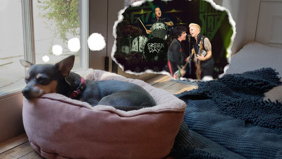 Green Day interpreta “Dreaming” de Blondie - RQP Paraguay