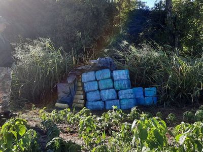 Incautan 1,4 toneladas de marihuana en cercanías de la reserva Morombí
