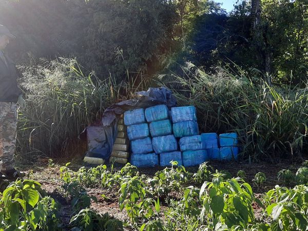 Incautan 1,4 toneladas de marihuana en cercanías de la reserva Morombí