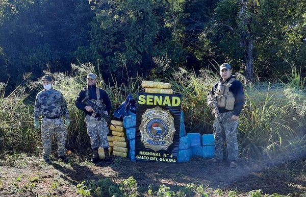 SENAD incautó más de 1.400 kilos de marihuana en la Reserva Morombí