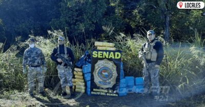 Senad incautó más de 1.400 kilos de marihuana en la Reserva Morombí