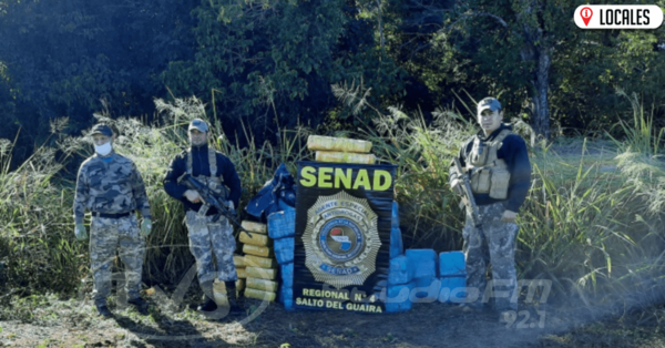 Senad incautó más de 1.400 kilos de marihuana en la Reserva Morombí