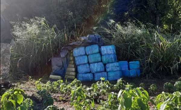 Canindeyú: Decomisan más de 1.000 kilogramos de drogas | Noticias Paraguay