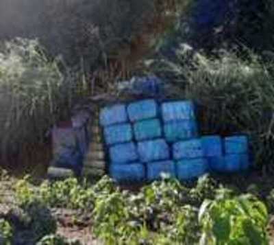 Senad da con 1.400 kilos de drogas  - Paraguay.com