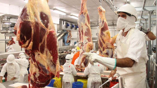 ARP SOLICITA MESA DE TRABAJO AL GOBIERNO ANTE ALTO COSTO DEL PRECIO DE LA CARNE