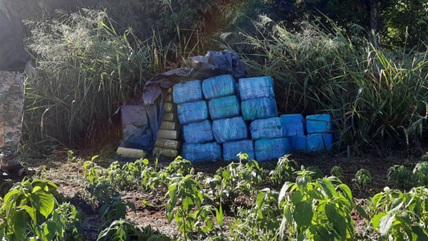 INCAUTAN 1,4 TONELADAS DE MARIHUANA EN INMEDIACIONES DE RESERVA MOROMBÍ