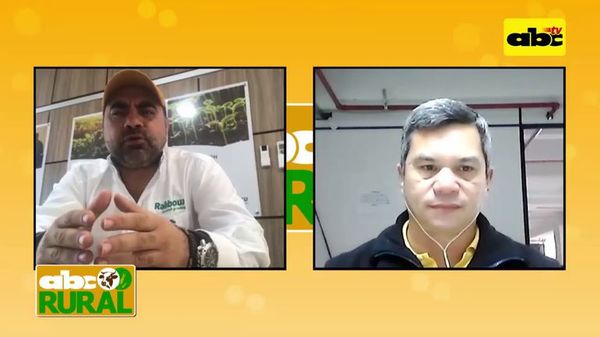 Nuevos productos para control de plagas en la soja - ABC Rural - ABC Color