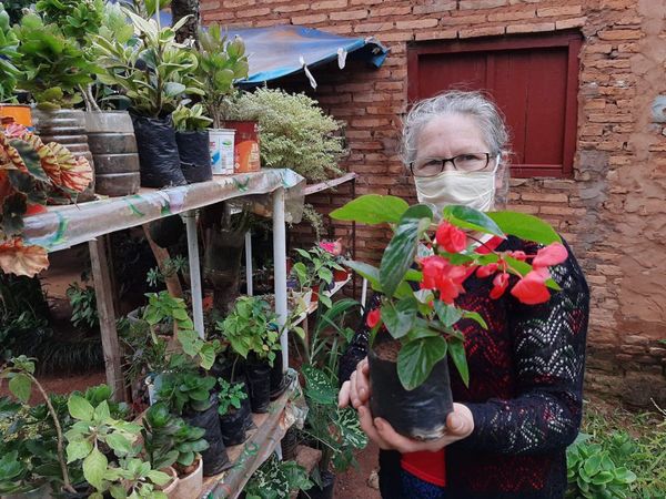 Jardines y huertas son tendencia en Misiones durante pandemia