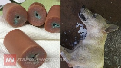 DENUNCIAN QUE ESTARÍAN ENVENENANDO PERROS Y GATOS EN UN SECTOR DE ITÁ PASO 