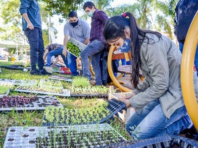 Entregan unos 50.000 plantines de hortalizas a familias de Encarnación