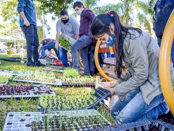 Entregan unos 50.000 plantines de hortalizas a familias de Encarnación
