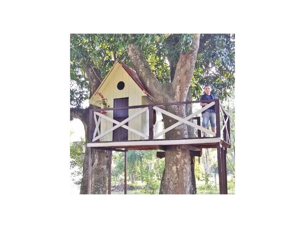 Una casita en el árbol, un gran regalo de cumpleaños