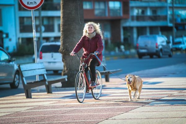 Perros ayudan a adultos mayores a mantenerse activos - Mascotas - ABC Color