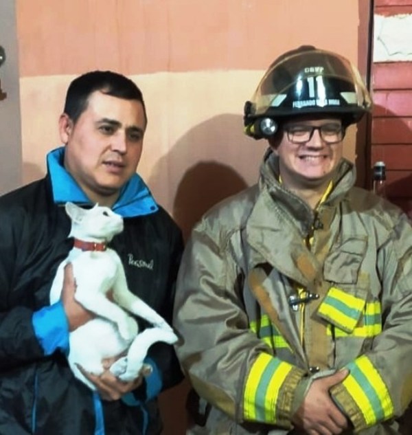 Bomberos rescatan a “Pelusita” • Luque Noticias