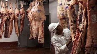 Llegaron los israelíes que evaluarán carne paraguaya para posible exportación