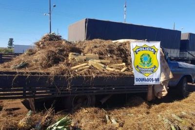 Sigue pasando marihuana al Brasil por nuestra frontera “cerrada”