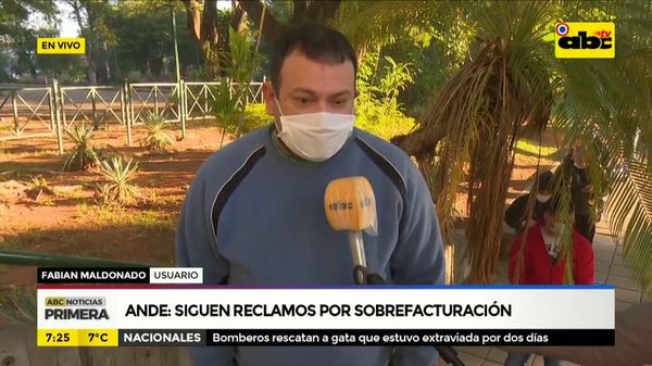 Siguen reclamos por sobrefacturación en la ANDE - ABC Noticias - ABC Color