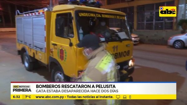 Bomberos rescataron a Pelusita - ABC Noticias - ABC Color