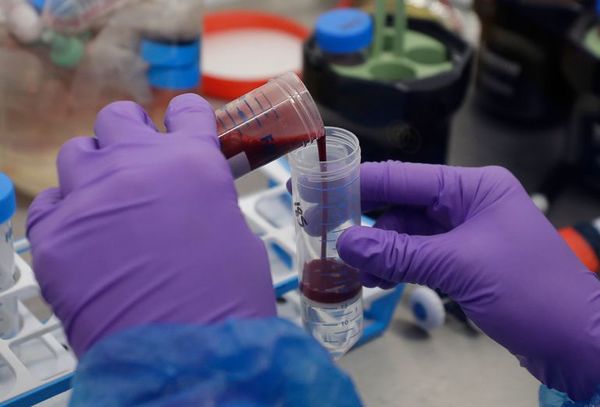 Estudio muestra que incluso enfermos leves de covid-19 podrían desarrollar inmunidad - Ciencia - ABC Color