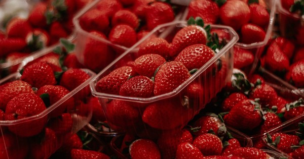 Vídeo viral de frutillas: los aparentes bichos que salen son inofensivos