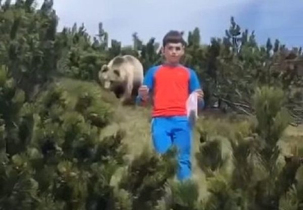 El infartante momento en que un niño escapa de un oso | Noticias Paraguay