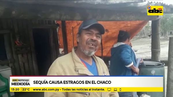Sequía causa estragos en el Chaco - ABC Noticias - ABC Color