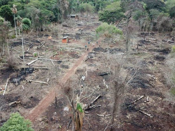 Itaipú pide colaboración para frenar daños a bosques nativos