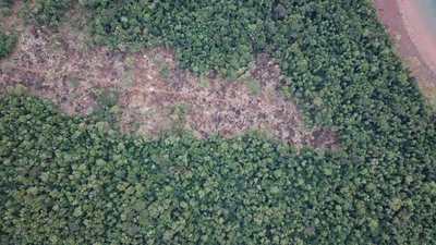Solicitan colaboración de órganos competentes para frenar daños a bosques nativos