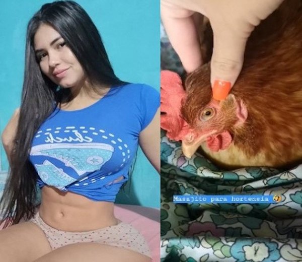 Masajea a su gallina para que ponga huevos | Crónica