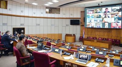 Senadores cuestionan lenta gestión  para auxiliar a mipymes en riesgo - Economía - ABC Color