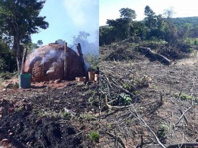 Más de 100 hectáreas fueron deforestadas en comunidad indígena de San Joaquín