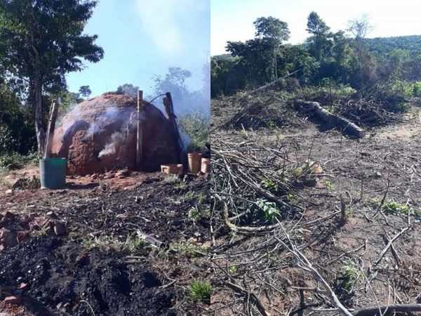 Más de 100 hectáreas fueron deforestadas en comunidad indígena de San Joaquín