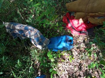 En busca de menor raptada encontraron obraje de marihuana