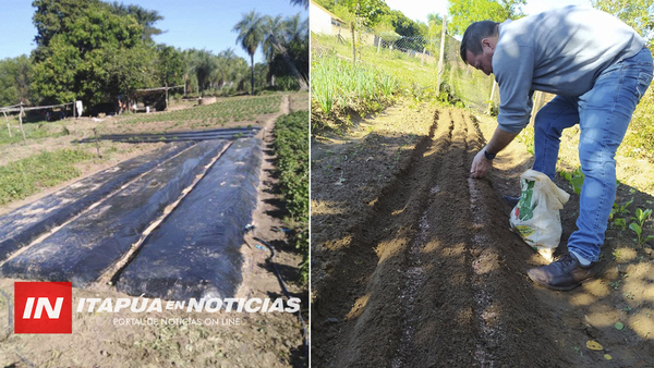 SNPP CAPACITA EN CULTIVO DE FRUTILLAS A PRODUCTORES DE CNEL. BOGADO.