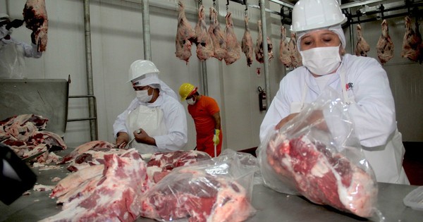 Alentador panorama para exportación de carne bovina